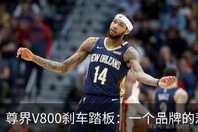 尊界V800刹车踏板：一个品牌的悲喜交织，竟像西贝的酸甜苦辣！